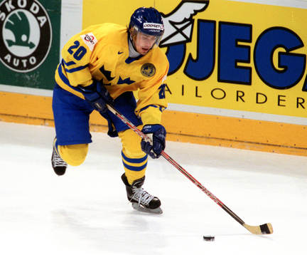 Henrik Zetterberg, Sverige