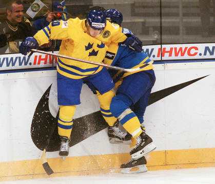 Henrik Zetterberg, Sverige