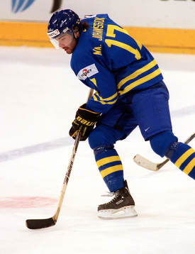 Mathias Johansson, Sverige