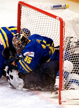 Tommy Salo, Sverige