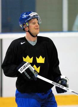Fredrik Modin, Sverige