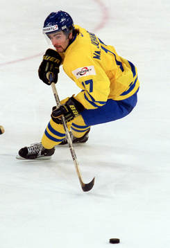 Mathias Johansson, Sverige