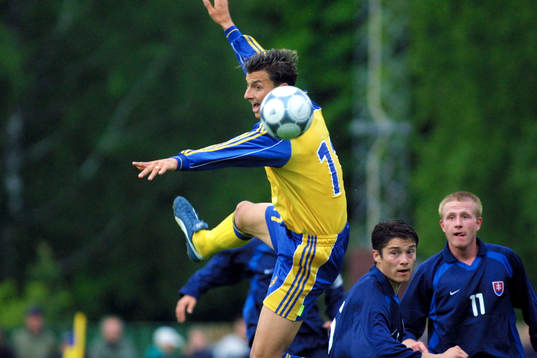 Zlatan Ibrahimovic, Sverige