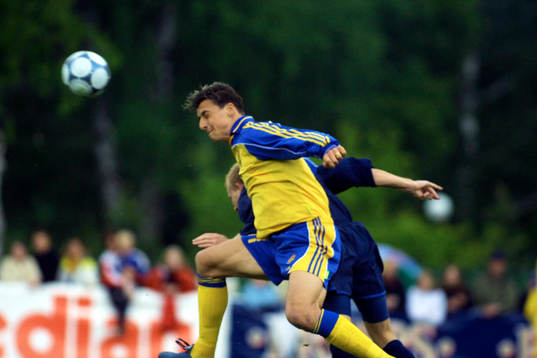 Zlatan Ibrahimovic, Sverige