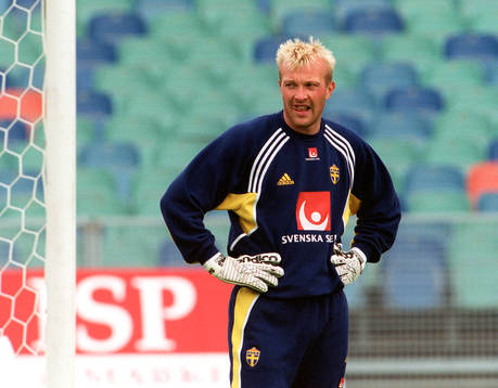 Magnus Hedman, Sverige