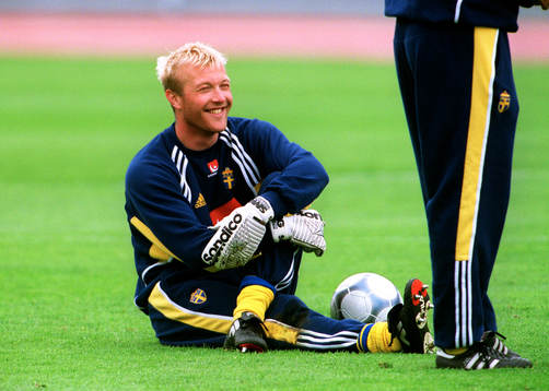 Magnus Hedman, Sverige