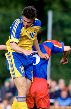 Johan Elmander, Sverige