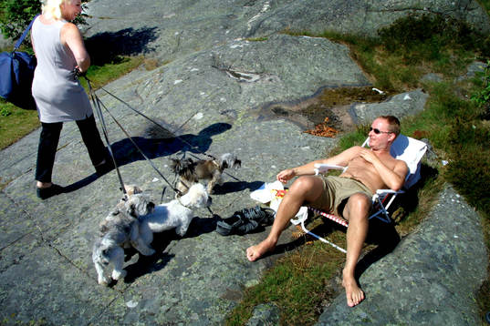 Badstrandsreportage, Fiskebäck