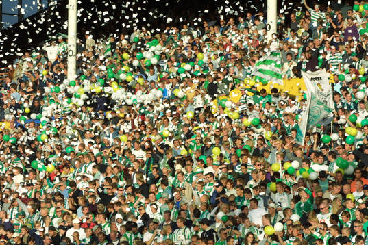 Fotboll, allsvenskan, Hammarby, supporter