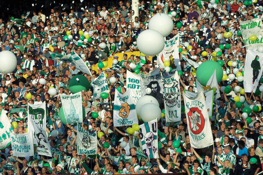 Fotboll, allsvenskan, Hammarby, supporter