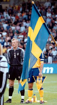 Magnus Hedman, Sverige