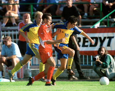 Bojan Djordic, Sverige