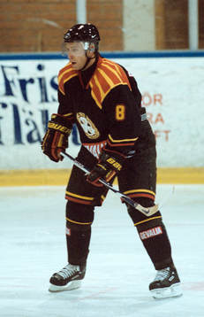 Henrik Rehnberg, Brynäs