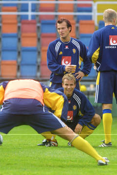 Fredrik Ljungberg och Niclas Alexandersson, Sverige
