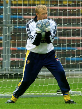 Magnus Hedman, Sverige