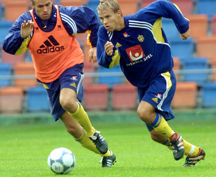 Olof Mellberg och Niclas Alexandersson, Sverige