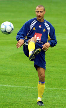Henrik Larsson, Sverige