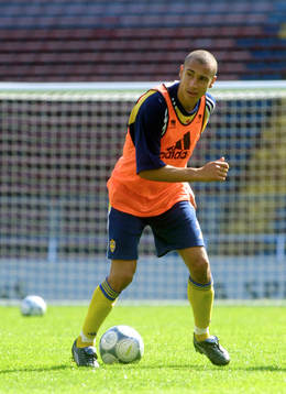 Henrik Larsson, Sverige