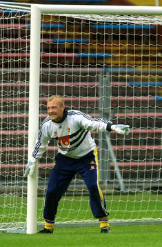 Magnus Hedman, Sverige