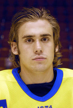 Henrik Zetterberg, sverige