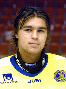 Stefan Liv, sverige