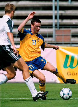 Alexander Farnerud, Sverige