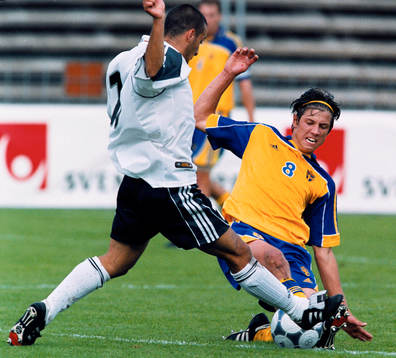 Gabriel Petrovic, Sverige