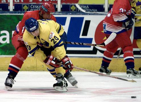 Henrik Zetterberg, Sverige