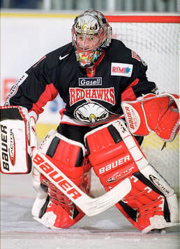Ishockey, Elitserien, Andreas Hadelöv, målvakt, Malmö