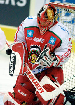 Ishockey, Elitserien, Petter Rönnqvist, Frölunda