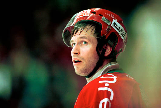 Ishockey, Magnus Wernblom, Modo