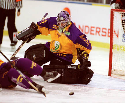 Martin Gerberg, Färjestad