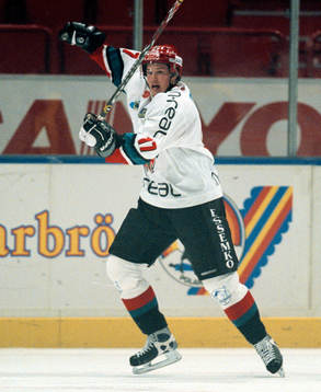 Ishockey, Elitserien, Fredrik Warg, Modo