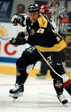 Ishockey, Elitserien, Michael Johansson, AIK