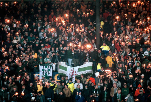 Hammarby, supporter