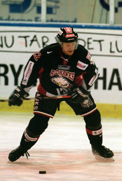 David Petrasek, Malmö