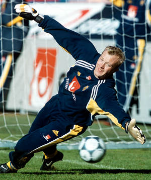 Magnus Hedman, Sverige