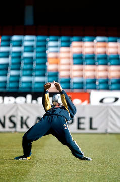 Zlatan Ibrahimovic, Sverige