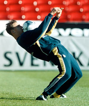 Zlatan Ibrahimovic, Sverige