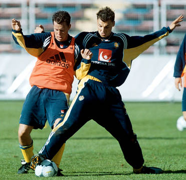 Daniel Andersson och Zlatan Ibrahimovic, Sverige