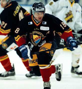 Ishockey, Elitserien. Tomas Strandberg, Djurgården