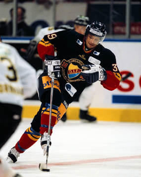 Ishockey, Elitserien. Jan Pardavy, Djurgården