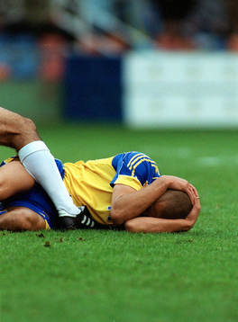 Henrik Larsson, Sverige