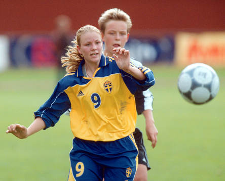 Karin Palm, Sverige