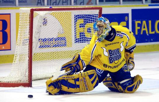Ishockey, Elitserien,  Stefan Liv, HV 71