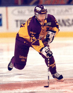 Thomas Rhodin, Färjestad