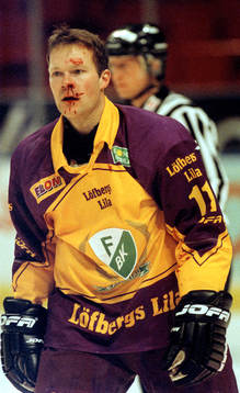 Ishockey, elitserien, Ulf Söderström, Färjestad, skada