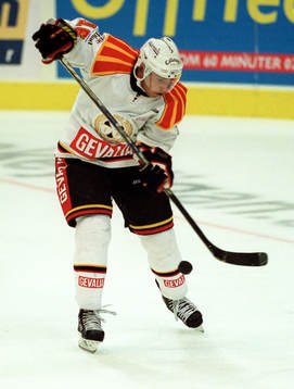 Ishockey, Elitserien, Jeffrey Williams, Brynäs