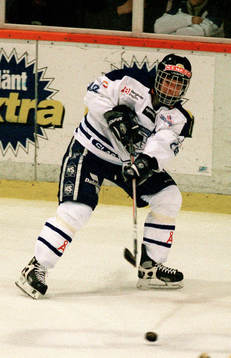 Ishockey, Södra Allsvenskan, Robert Nilsson,  Leksand