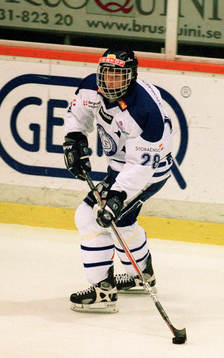 Ishockey, Södra Allsvenskan, Robert Nilsson, Leksand